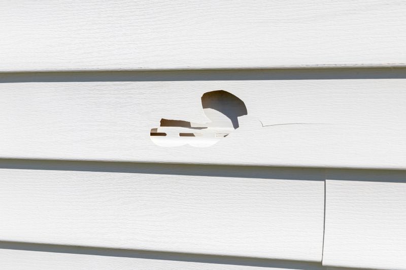 Preparing for Vinyl Siding Repair